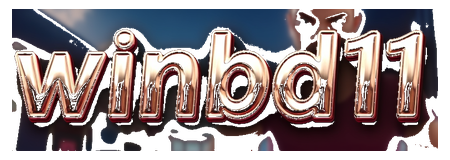 winbd11 logo